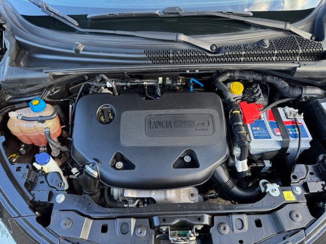 LANCIA Ypsilon 3ª serie Ypsilon 0.9 TwinAir 85 CV 5 porte Metano Ecochic Elefantino (13/14)