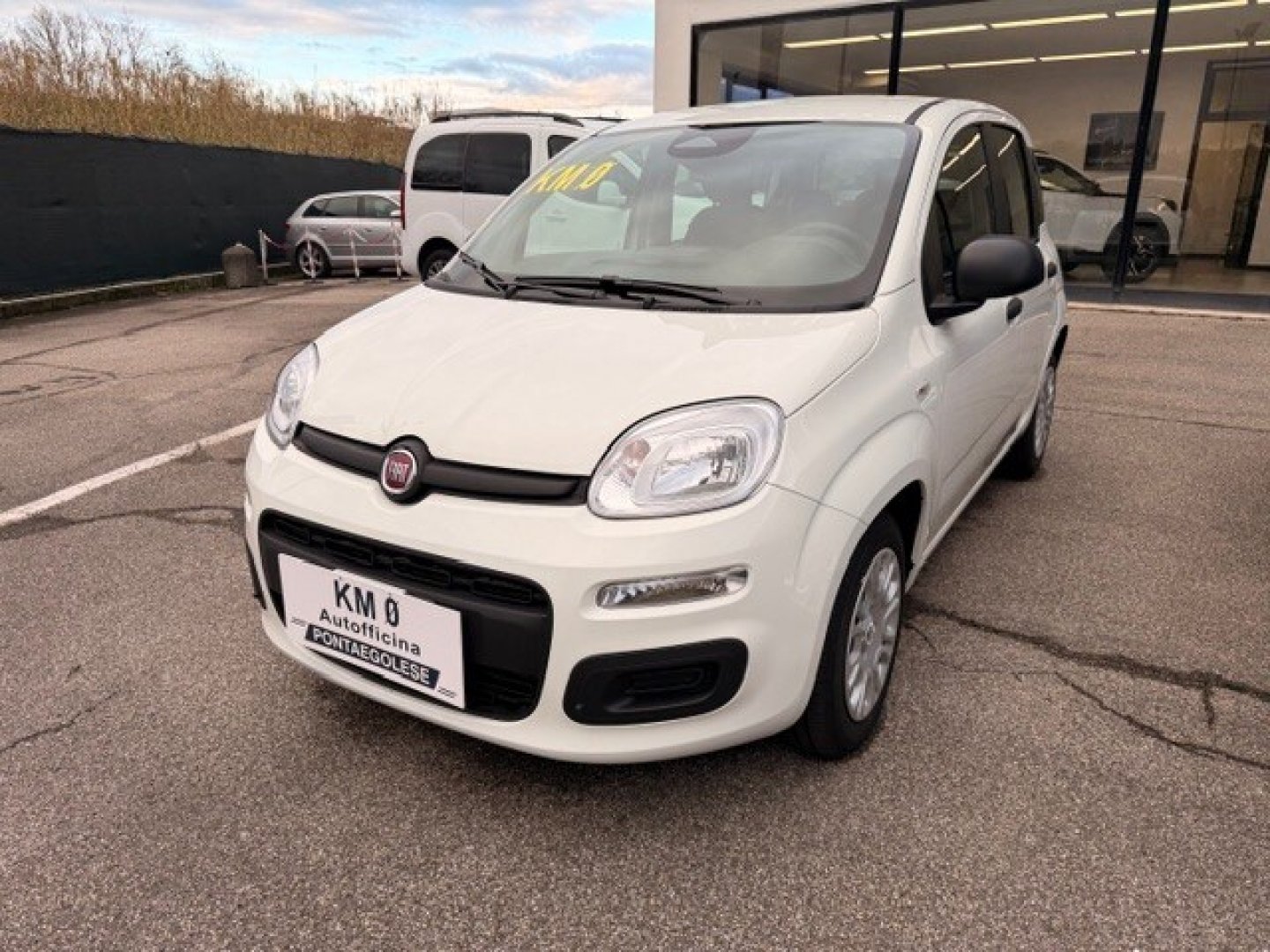 FIAT Panda 3ª serie Panda 1.0 FireFly S&S Hybrid (12/17)