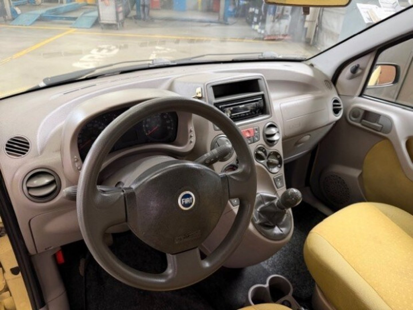 FIAT Panda 2ª serie Panda 1.2 Dynamic (8/12)