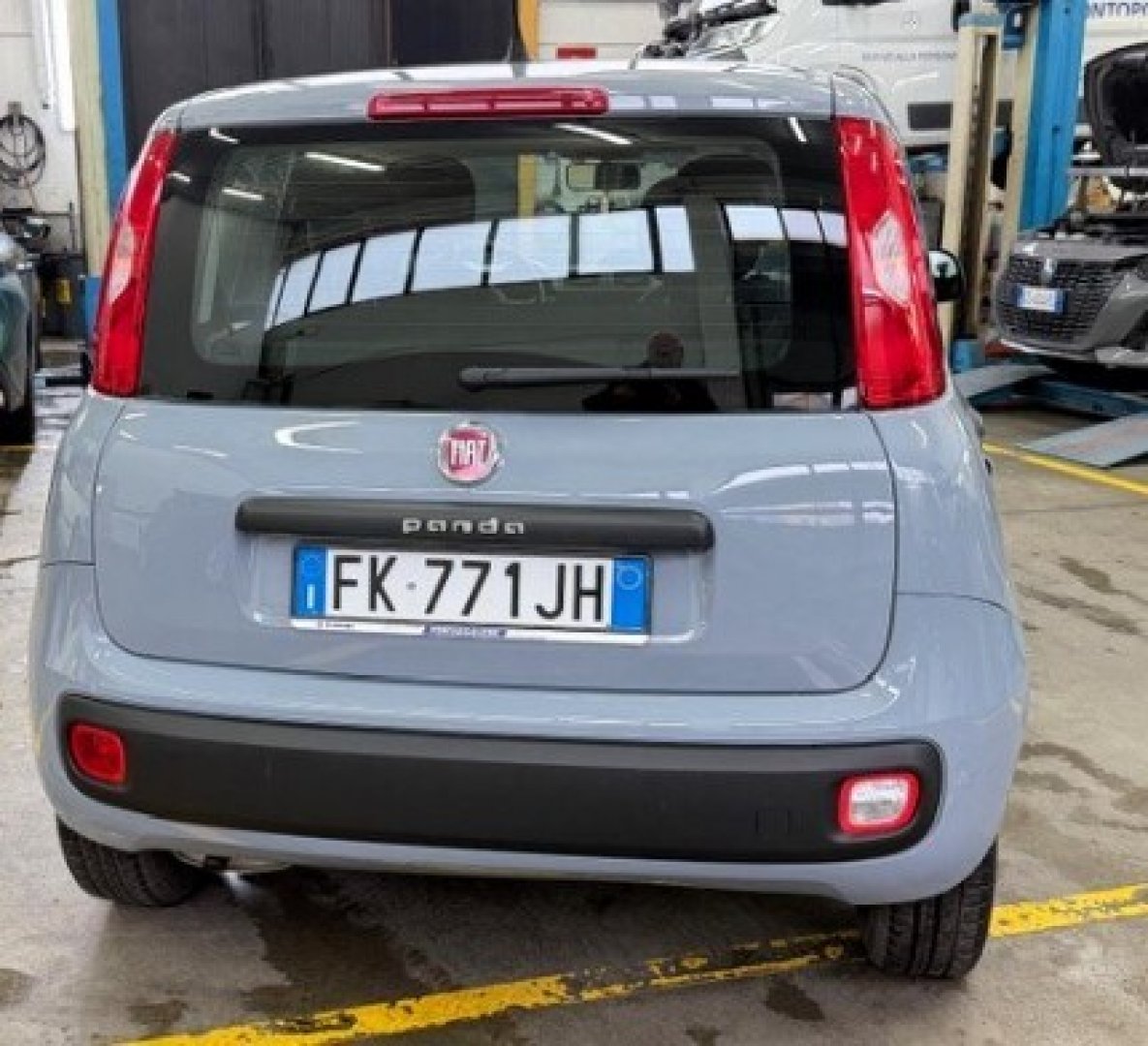 FIAT Panda 3ª serie Panda 1.2 Easy (4/15)