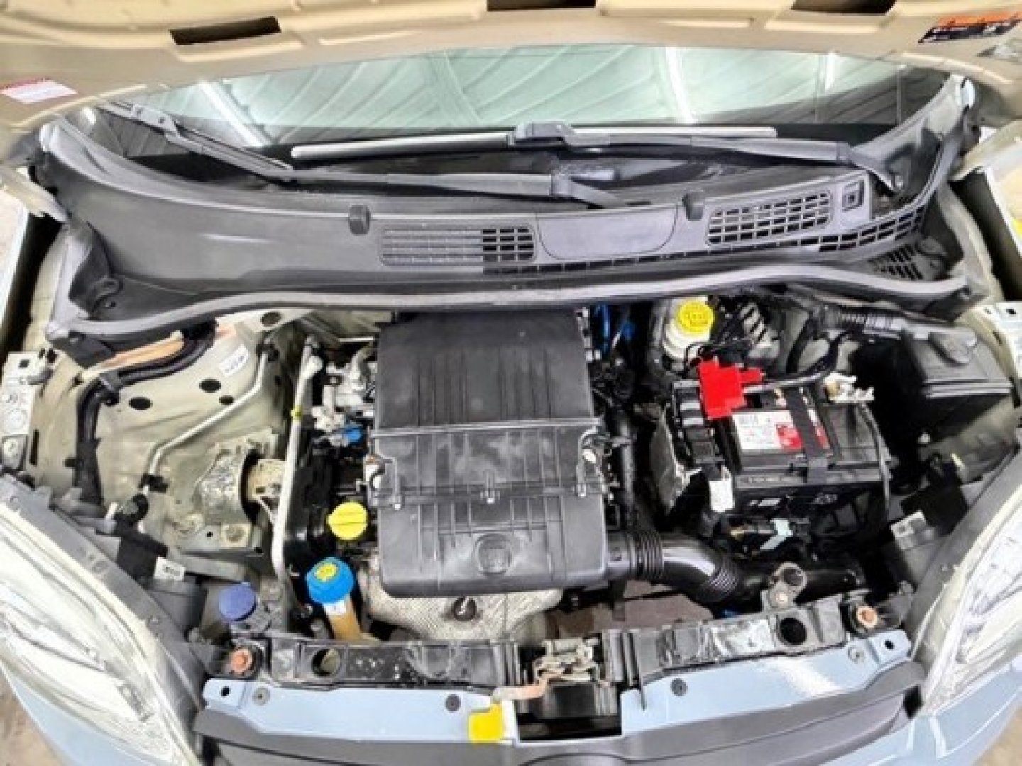 FIAT Panda 3ª serie Panda 1.2 Easy (14/15)