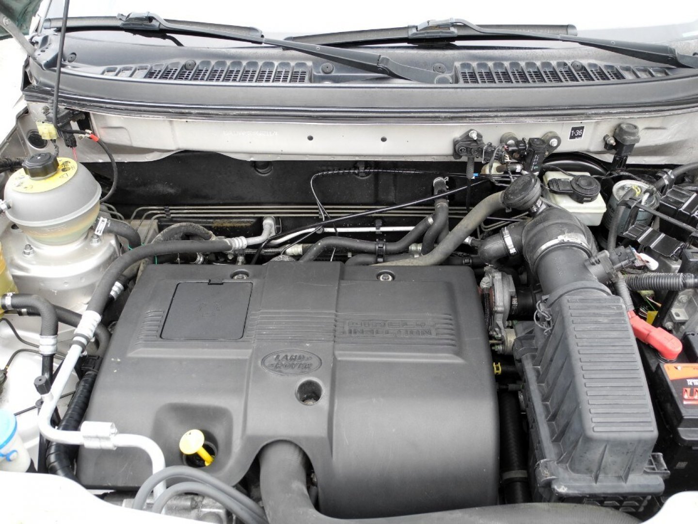 LAND ROVER Freelander 1ª serie Freelander 2.0 TD cat Station Wagon (14/15)